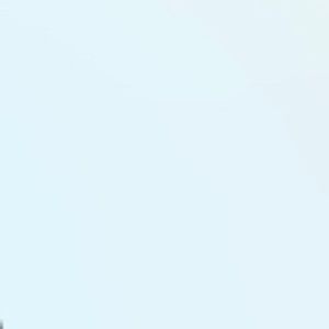 Meet your Posher, Hector